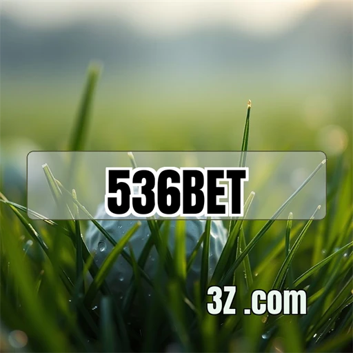 Experiência Vibrante no LiveCasino da 536 bet que Conquista Jogadores